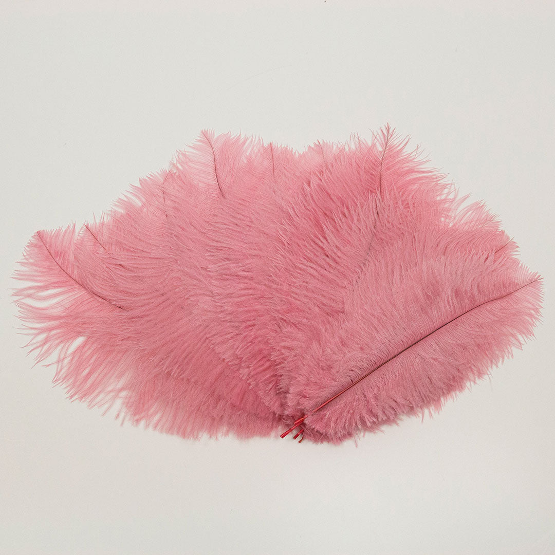 Ostrich Feathers 9-12" Drabs - Met Gala Potpourri