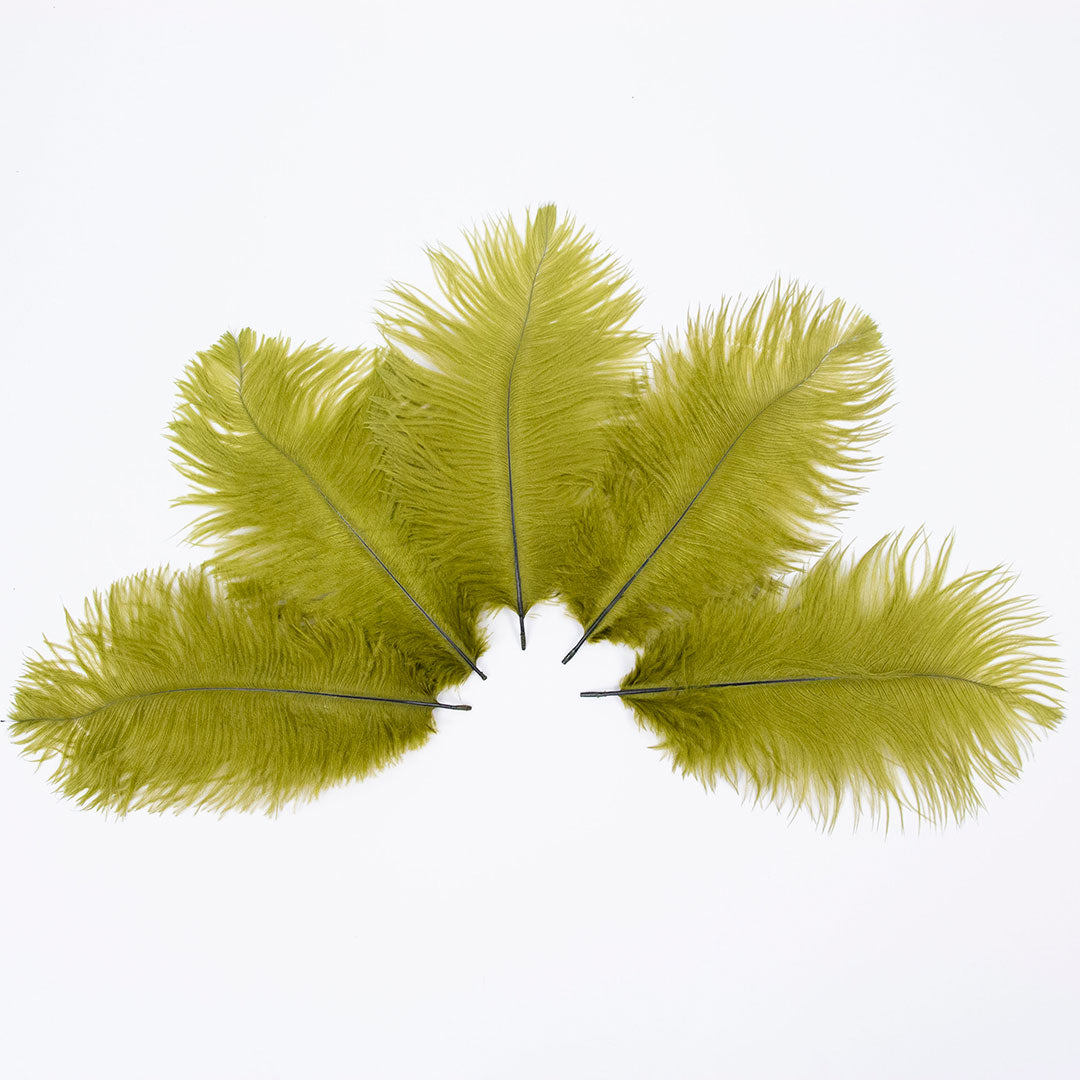 Ostrich Feathers 9-12" Drabs - Olive