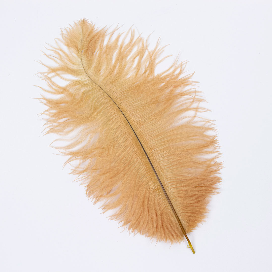 Ostrich Feathers 9-12" Drabs - Toasted Almond
