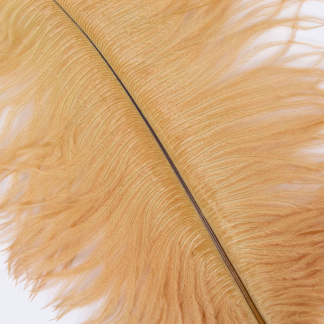 Ostrich Feathers 9-12" Drabs - Toasted Almond