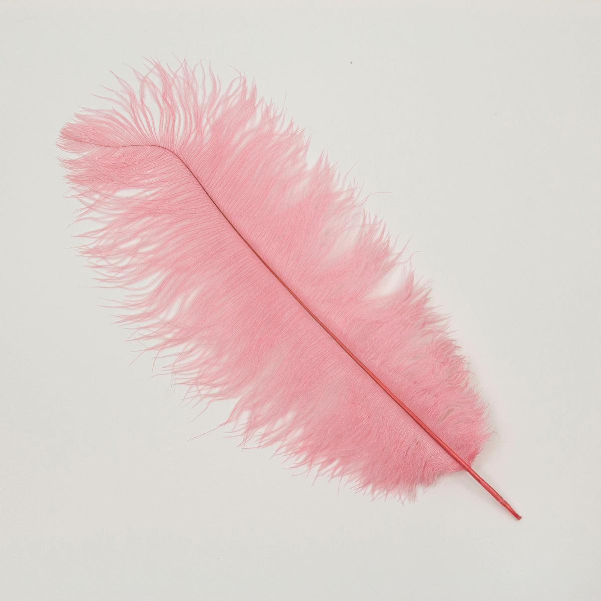 Large Ostrich Feathers - 17"+ Drabs - Met Gala Potpourri