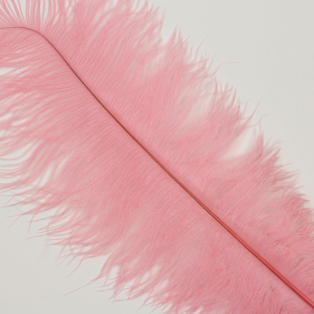 Large Ostrich Feathers - 17"+ Drabs - Met Gala Potpourri