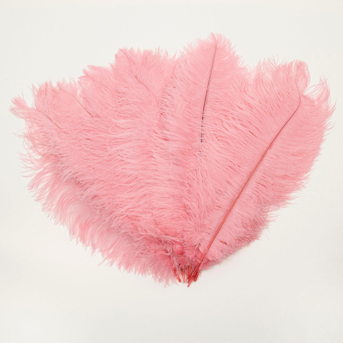 Large Ostrich Feathers - 17"+ Drabs - Met Gala Potpourri