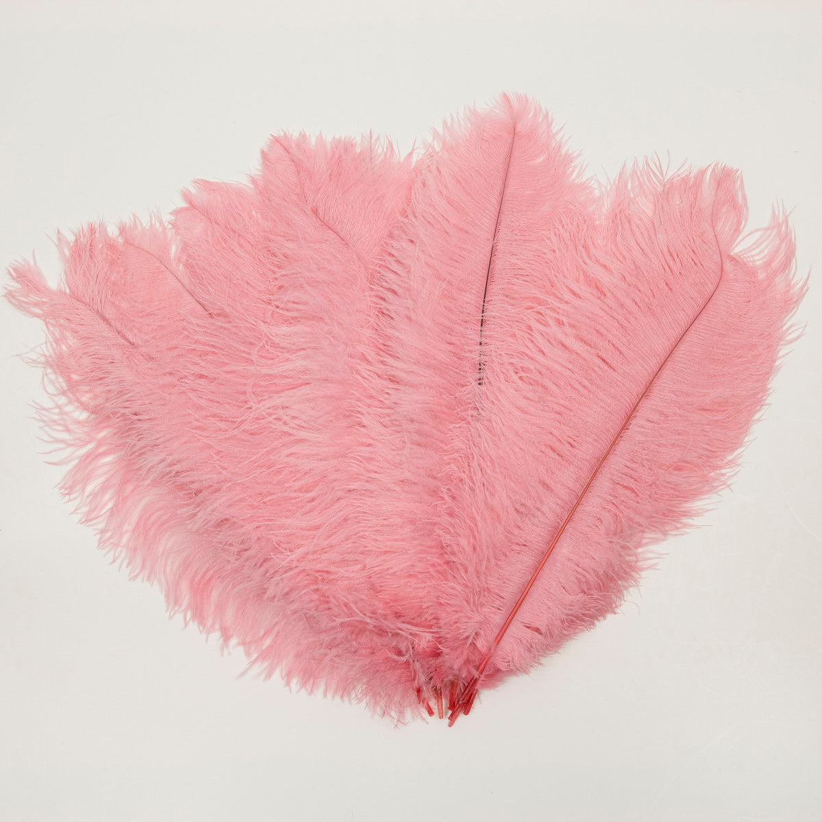 Large Ostrich Feathers - 17"+ Drabs - Met Gala Potpourri