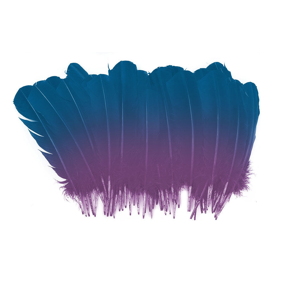 Ombre Turkey Quill 10-12" Left Wing Tip Silver .25 lb - Dark Turquoise-Purple