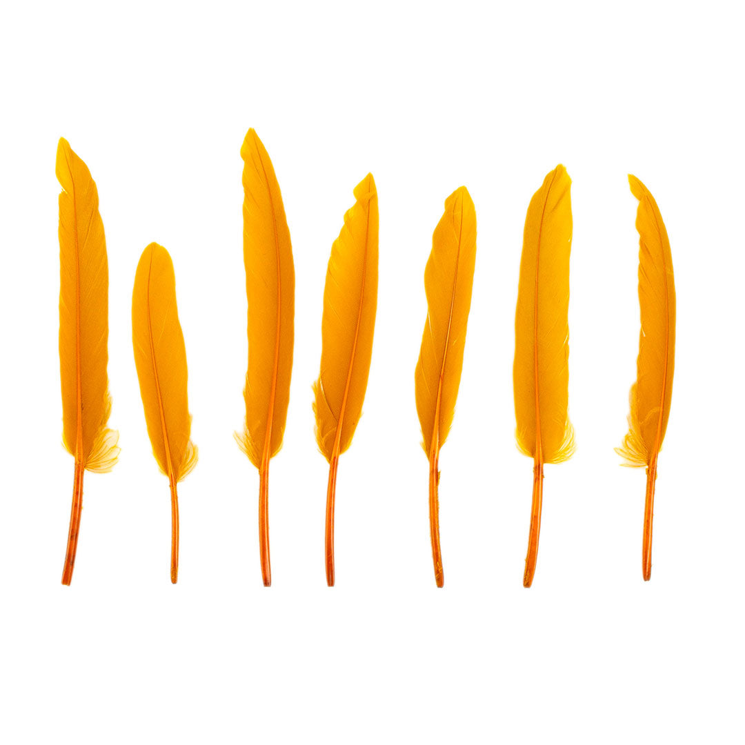 Duck Cosse Feathers - 3 - 6"-Antique Gold