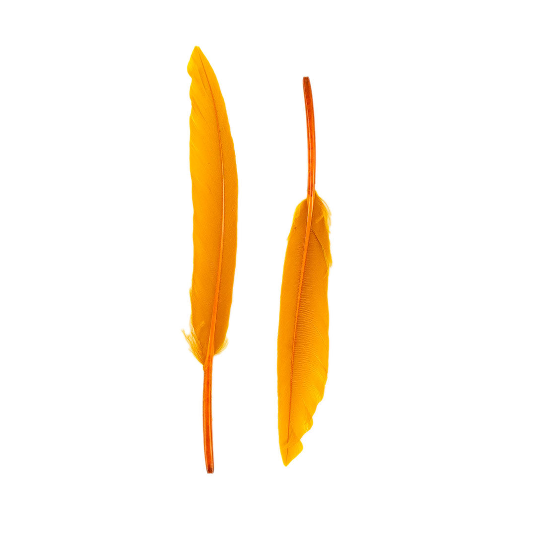 Duck Cosse Feathers - 3 - 6"-Antique Gold