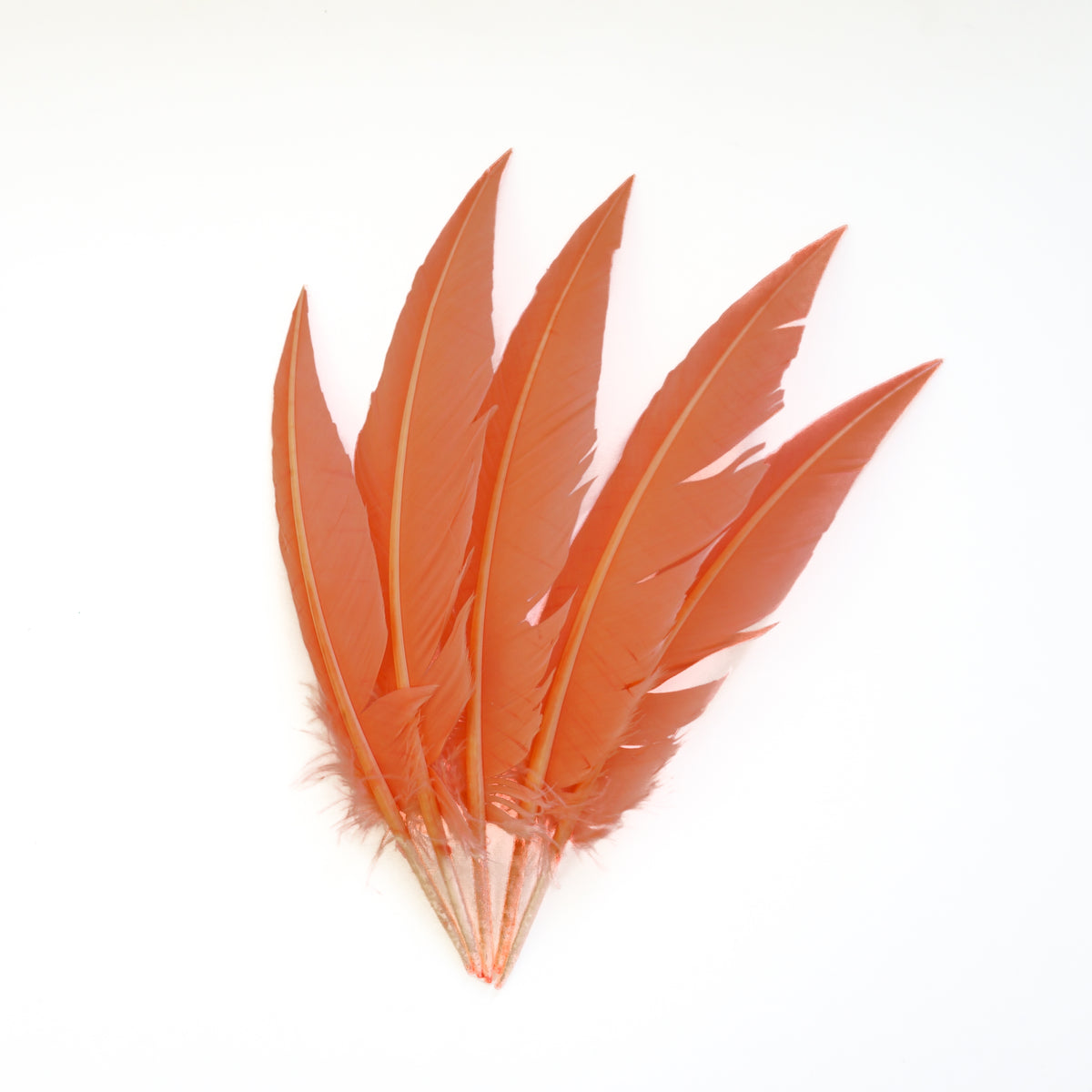 Dagger Turkey Quill Feathers 9-12"- Apricot Blush