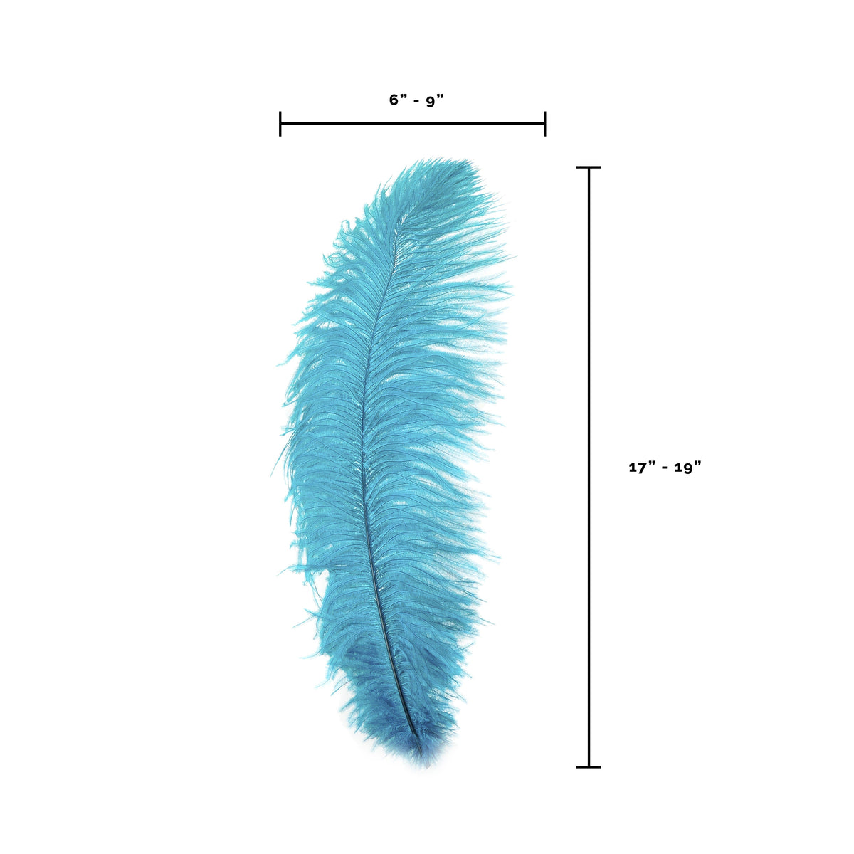 Large Ostrich Feathers - 17"+ Drabs - Dark Aqua