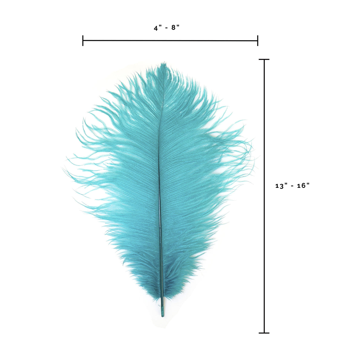 Ostrich Feathers 13-16" Drabs - Dark Aqua