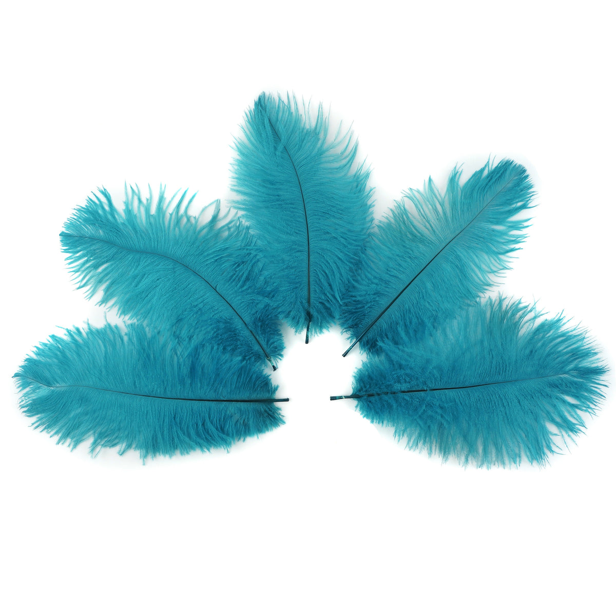Ostrich Feathers 4-8" Drabs - Dark Aqua