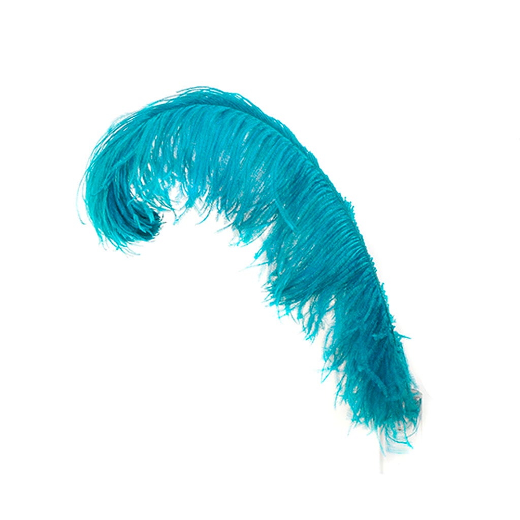 Large Ostrich Feathers - 20-25" Prime Femina Plumes - Dark Aqua