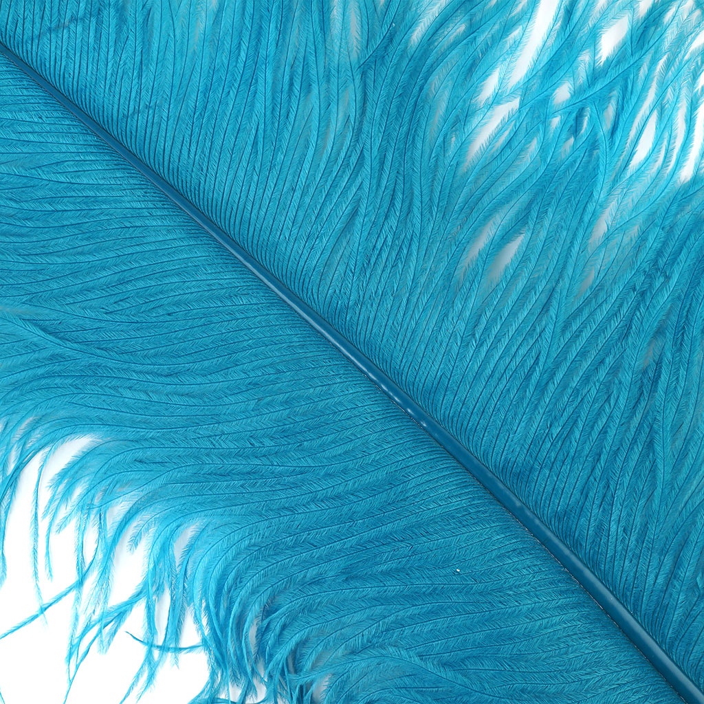 Large Ostrich Feathers - 20-25" Prime Femina Plumes - Dark Aqua