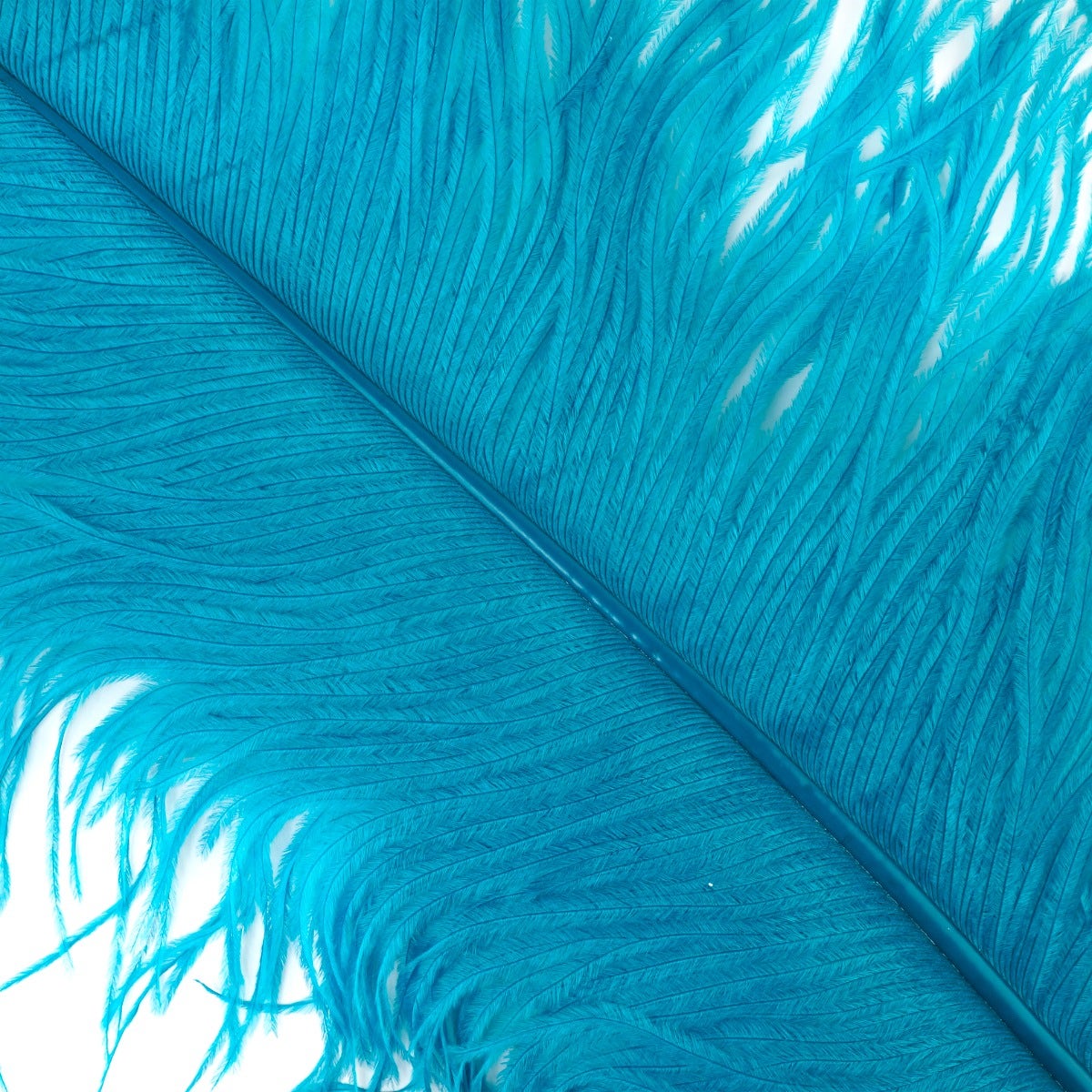 Ostrich Prime Femina Feathers - 6pc - 17 - 25 Inches  - Dark Aqua