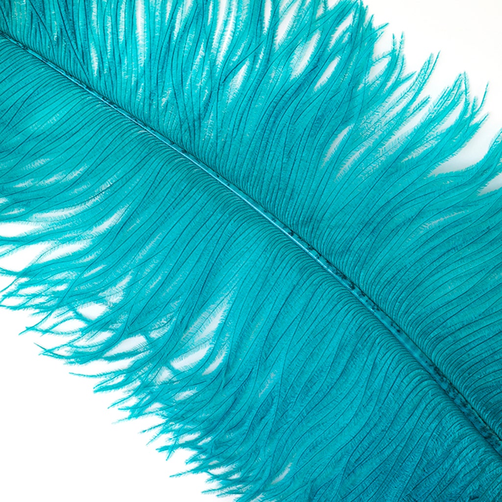 Large Ostrich Feathers - 18-24" Spads - Dark Aqua