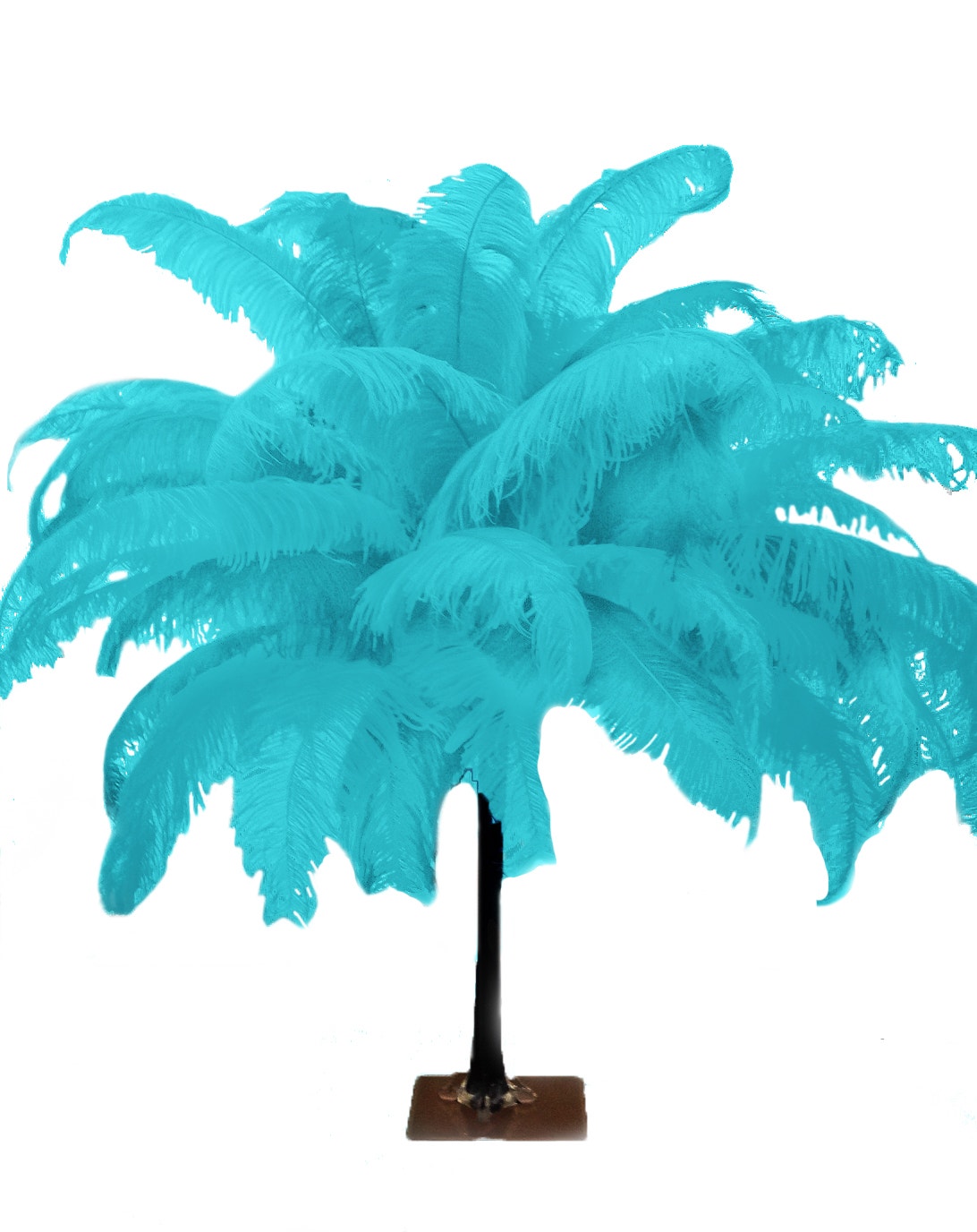 Large Ostrich Feathers - 18-24" Spads - Dark Aqua