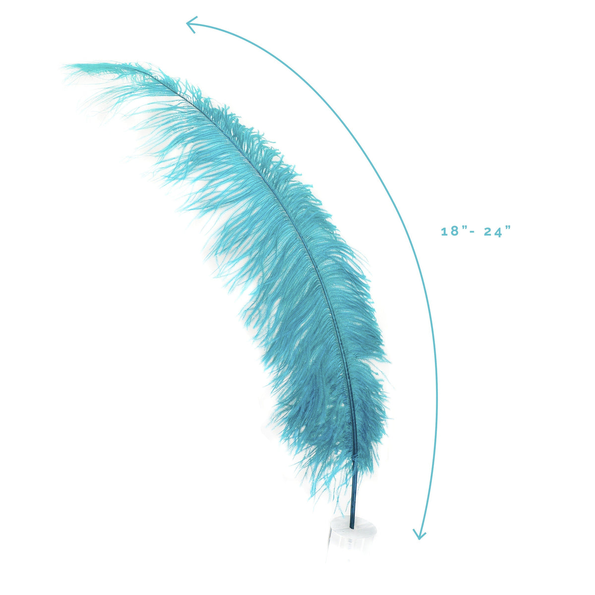 Large Ostrich Feathers - 18-24" Spads - Dark Aqua