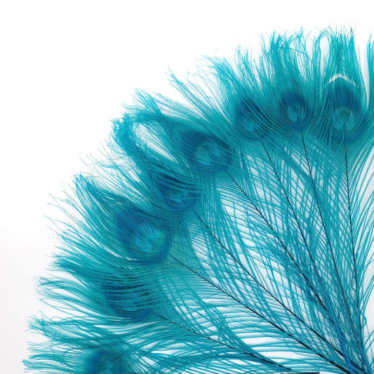 Peacock Feather Eyes Bleached & Dyed Dark Aqua