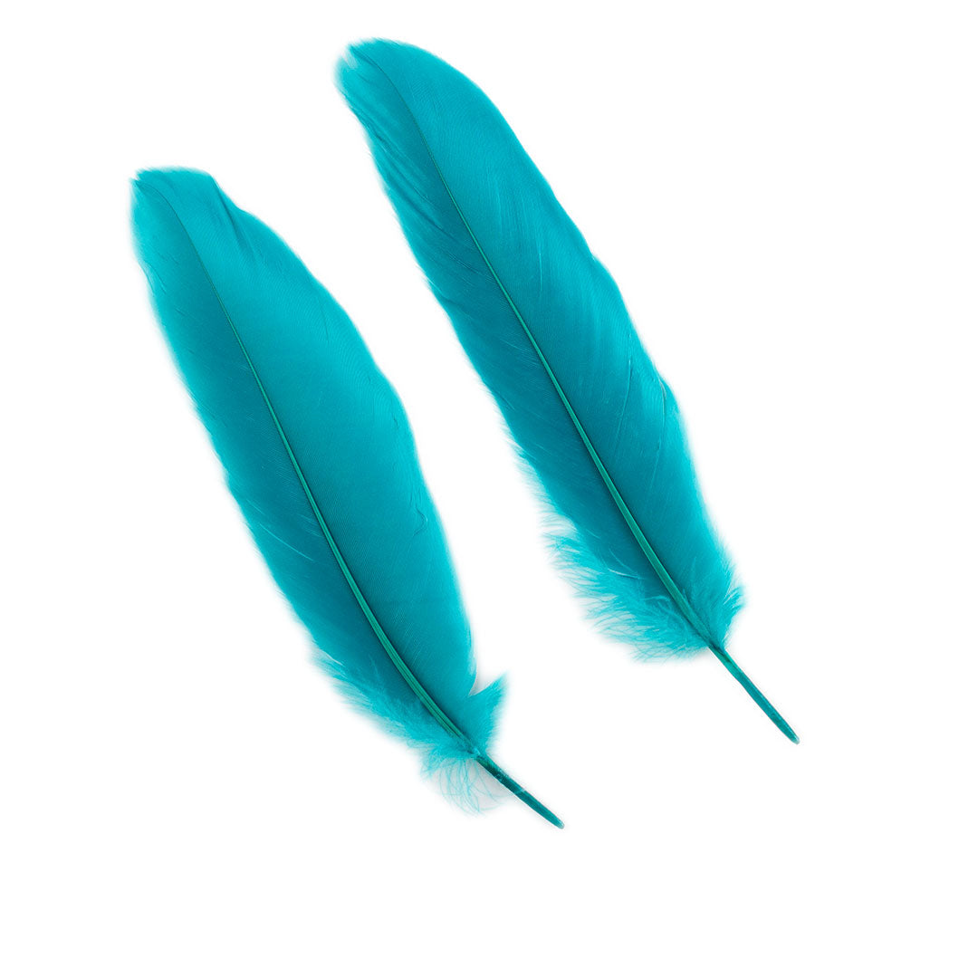 Goose Satinette Feathers Dyed - AQUAMARINE - 1/4 lb