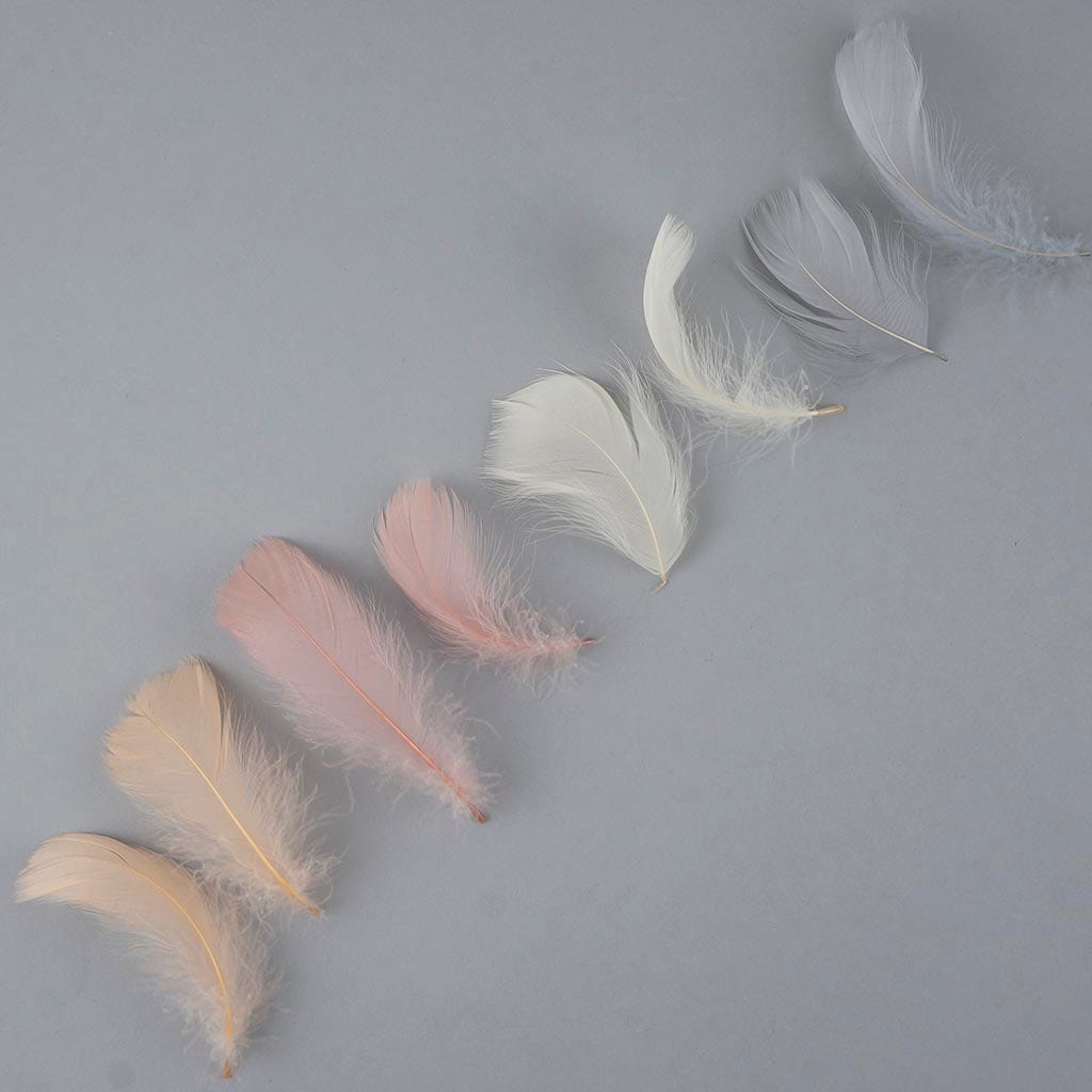 Loose Goose Coquille Mix Dyed Bliss Mix