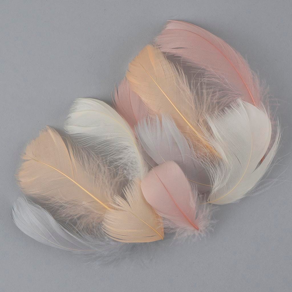 Loose Goose Coquille Mix Dyed Bliss Mix