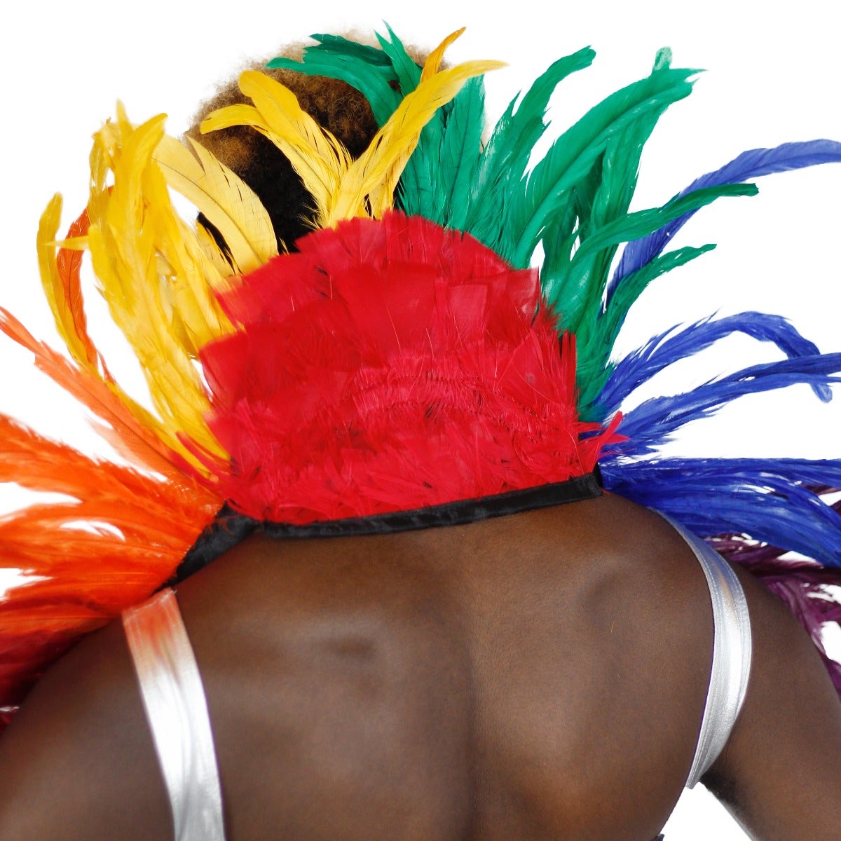 Carnival Feather Collar - Rainbow