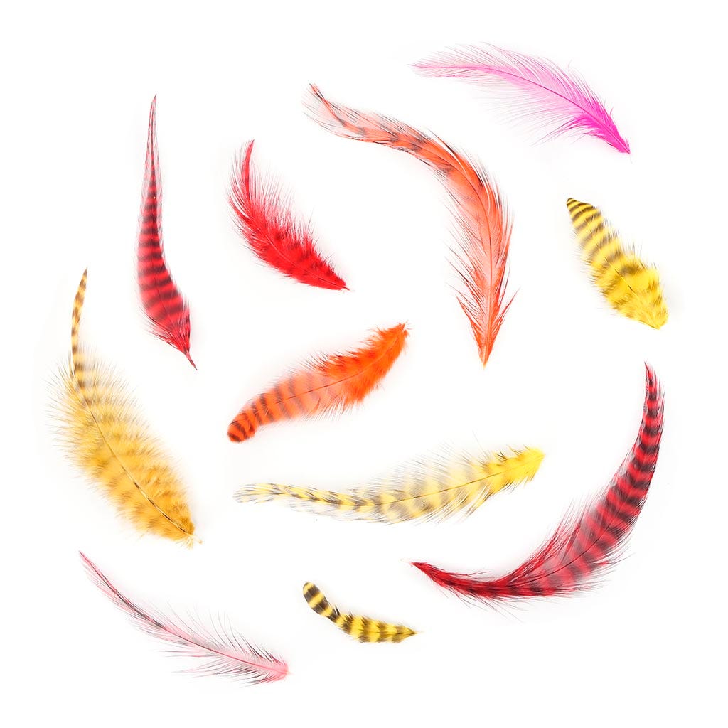 Loose Rooster Chinchilla Mixed Dyed Hot