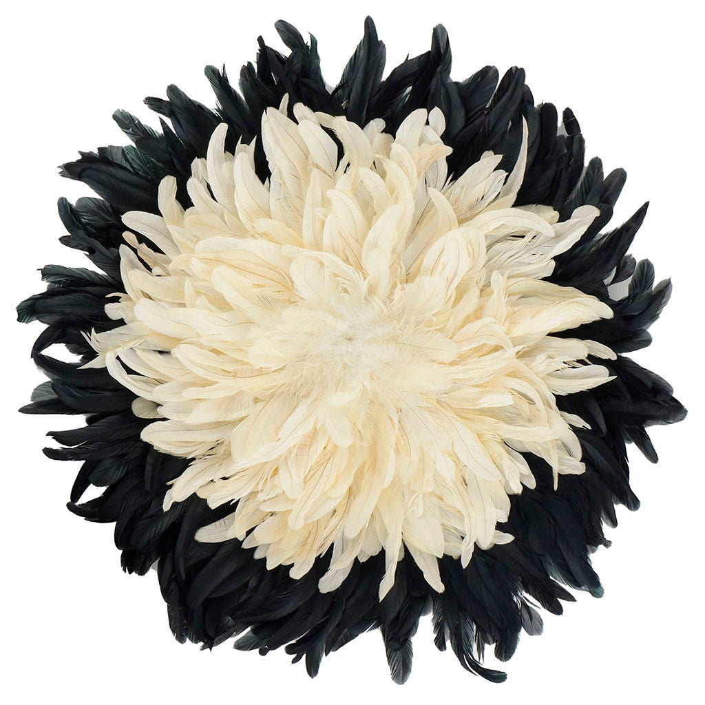 Decorative Feather Wall Art