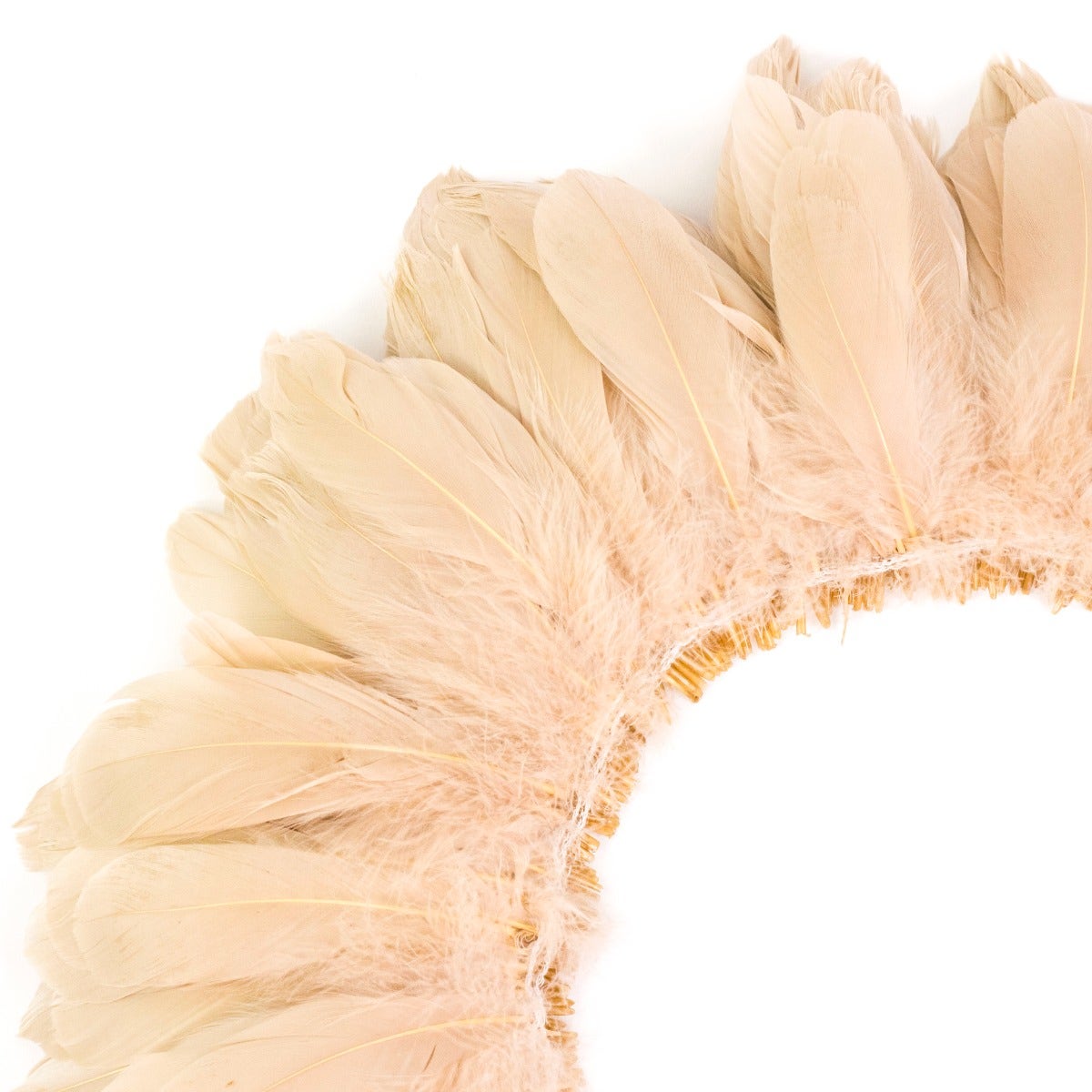 Goose Nagorie Dyed Feathers -Beige
