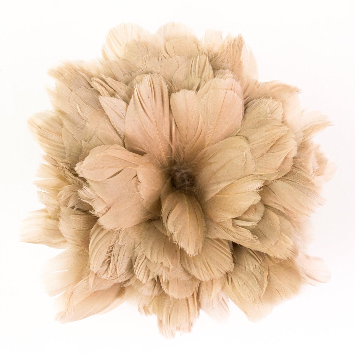 Goose Nagorie Dyed Feathers -Beige