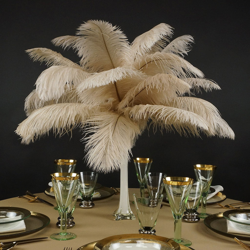 Ostrich Feathers 13-16" Drabs - Beige