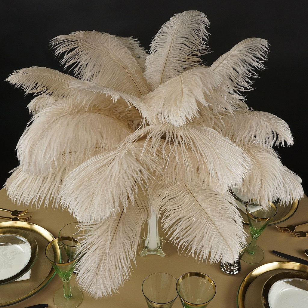Ostrich Feathers 13-16" Drabs - Beige