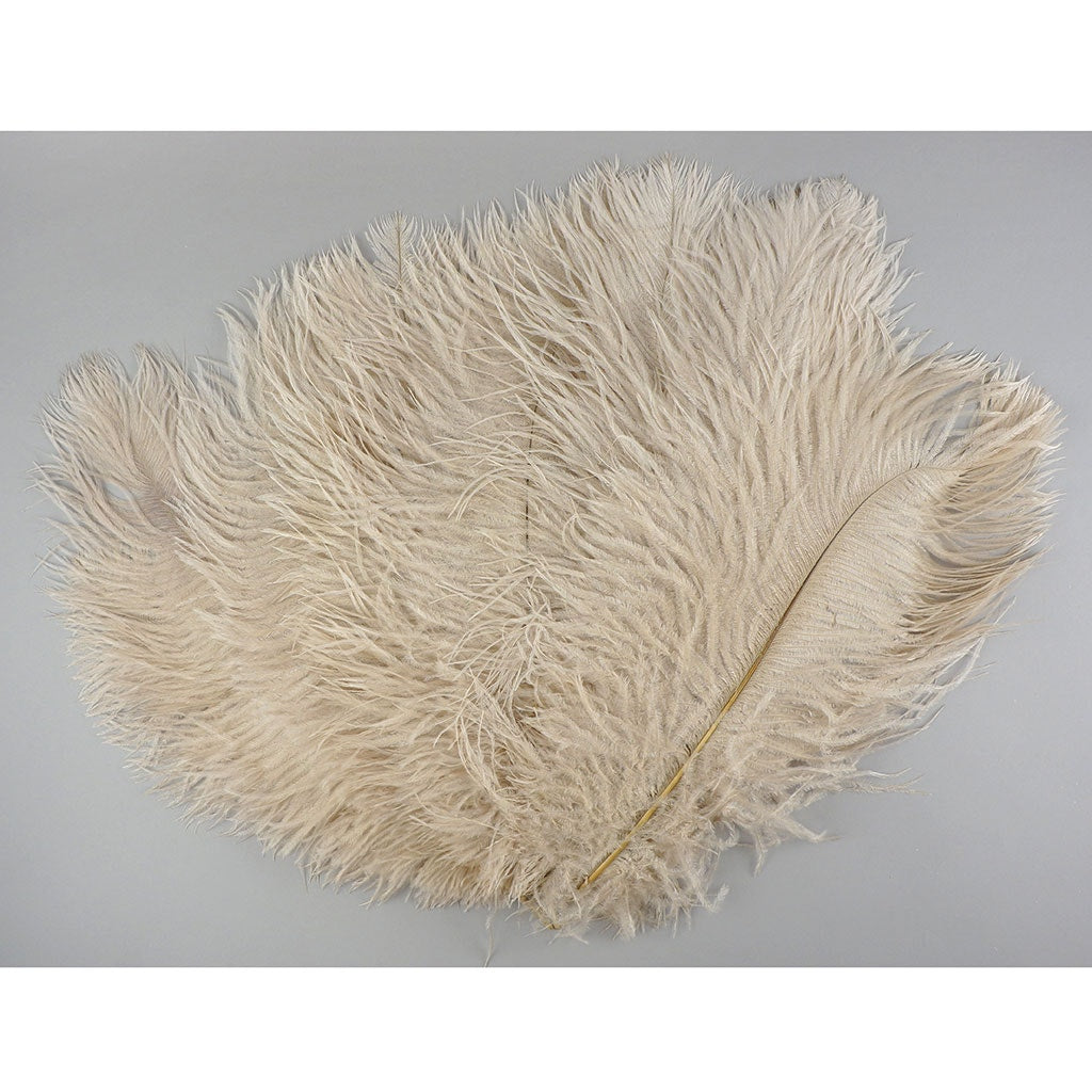 Ostrich Feathers 13-16" Drabs - Beige