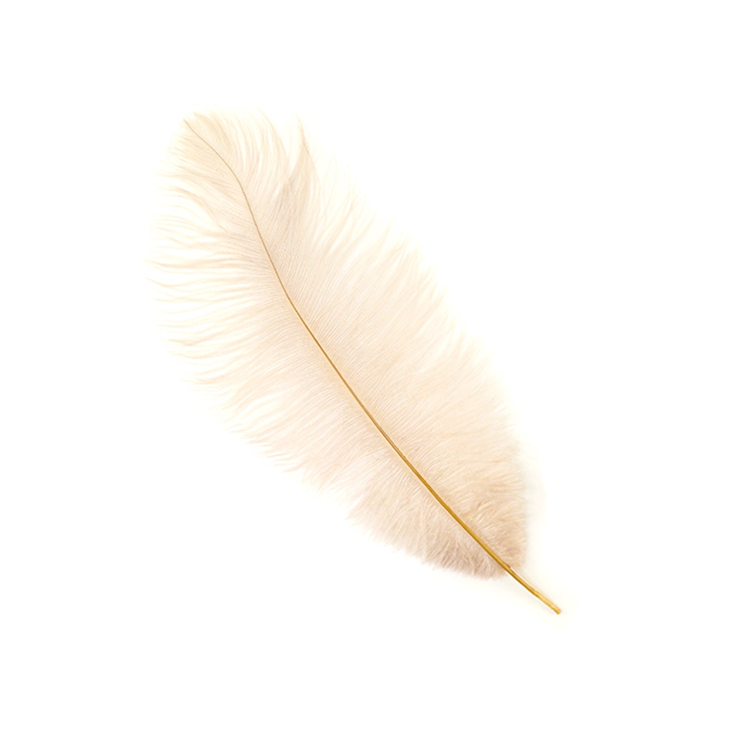 Ostrich Feathers 13-16" Drabs - Beige