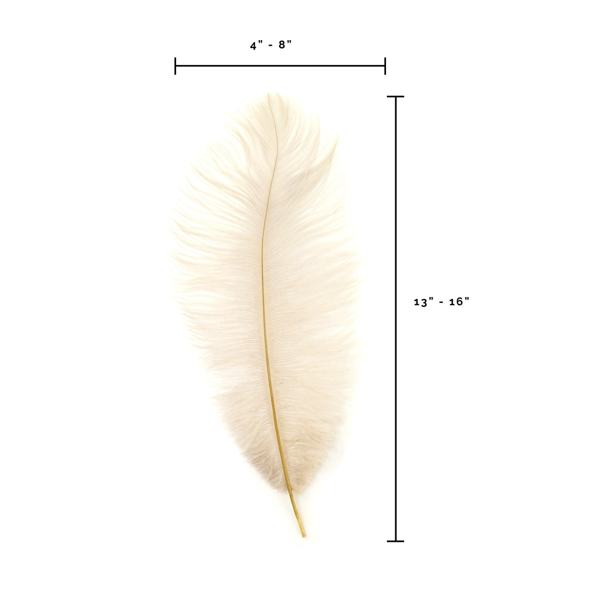 Ostrich Feathers 13-16" Drabs - Beige