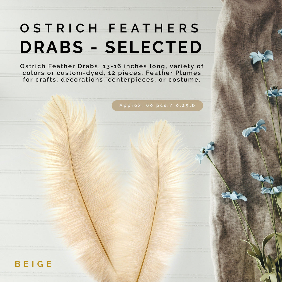 Ostrich Feathers 13-16" Drabs - Beige
