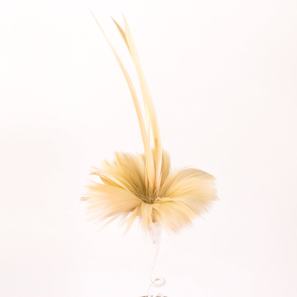 Beige Coquille and Biot Feather Floral Pick