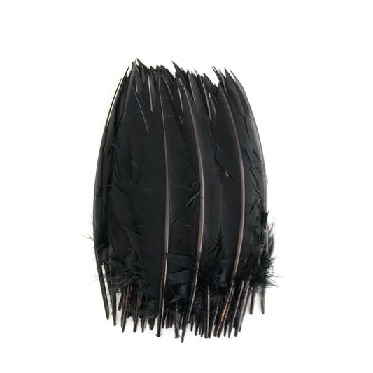 Black Dagger Turkey Quill Feathers 9-12"