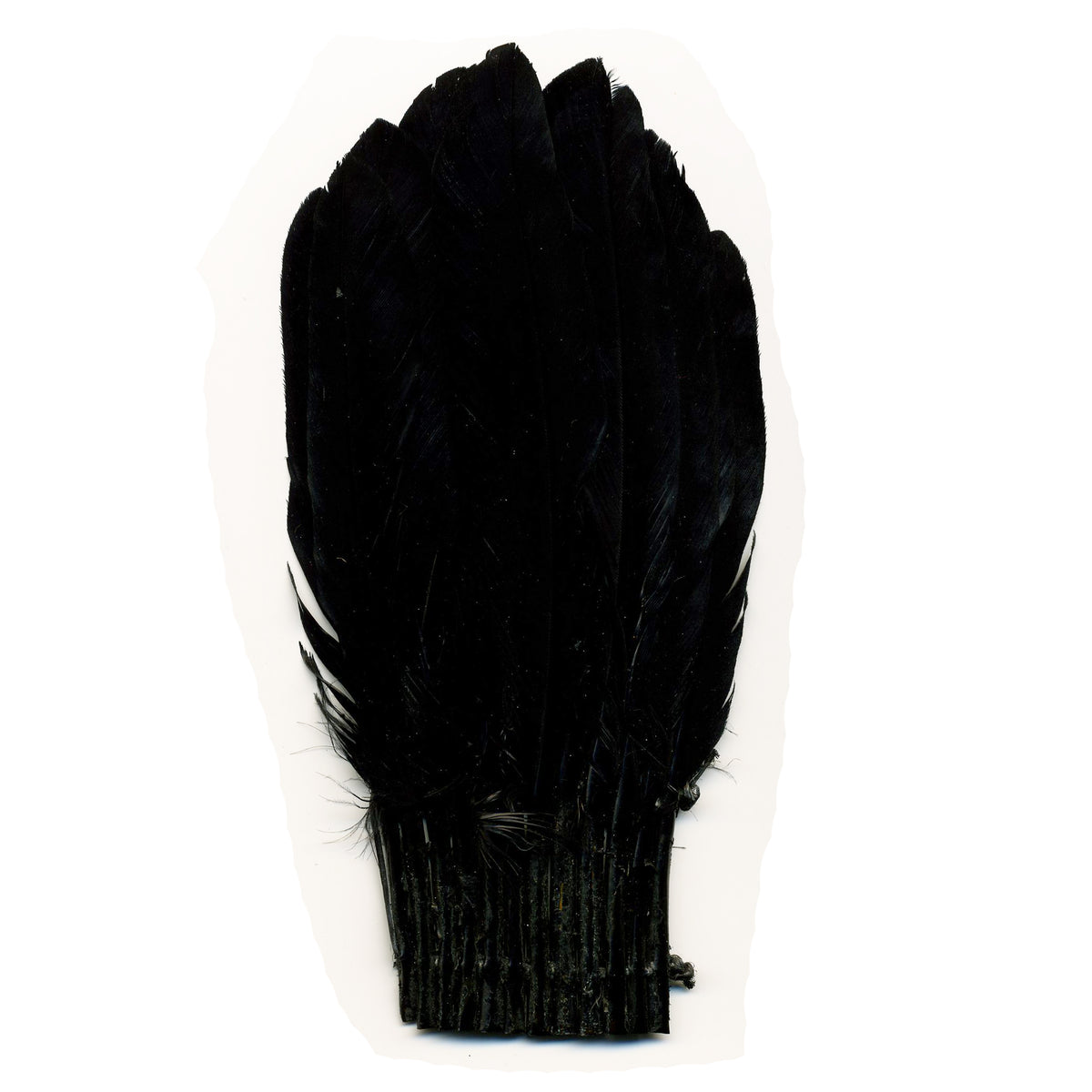 Duck Chockett Fan - Black