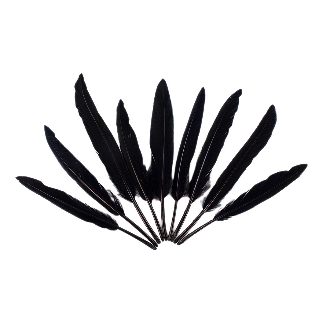 Duck Cosse Feathers - Black