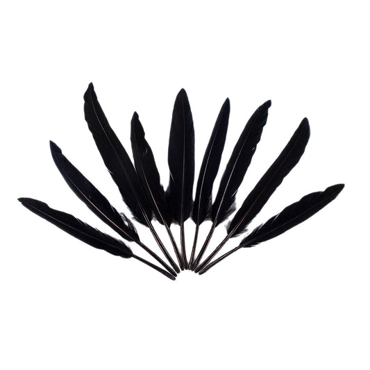 Duck Cosse Feathers - Black