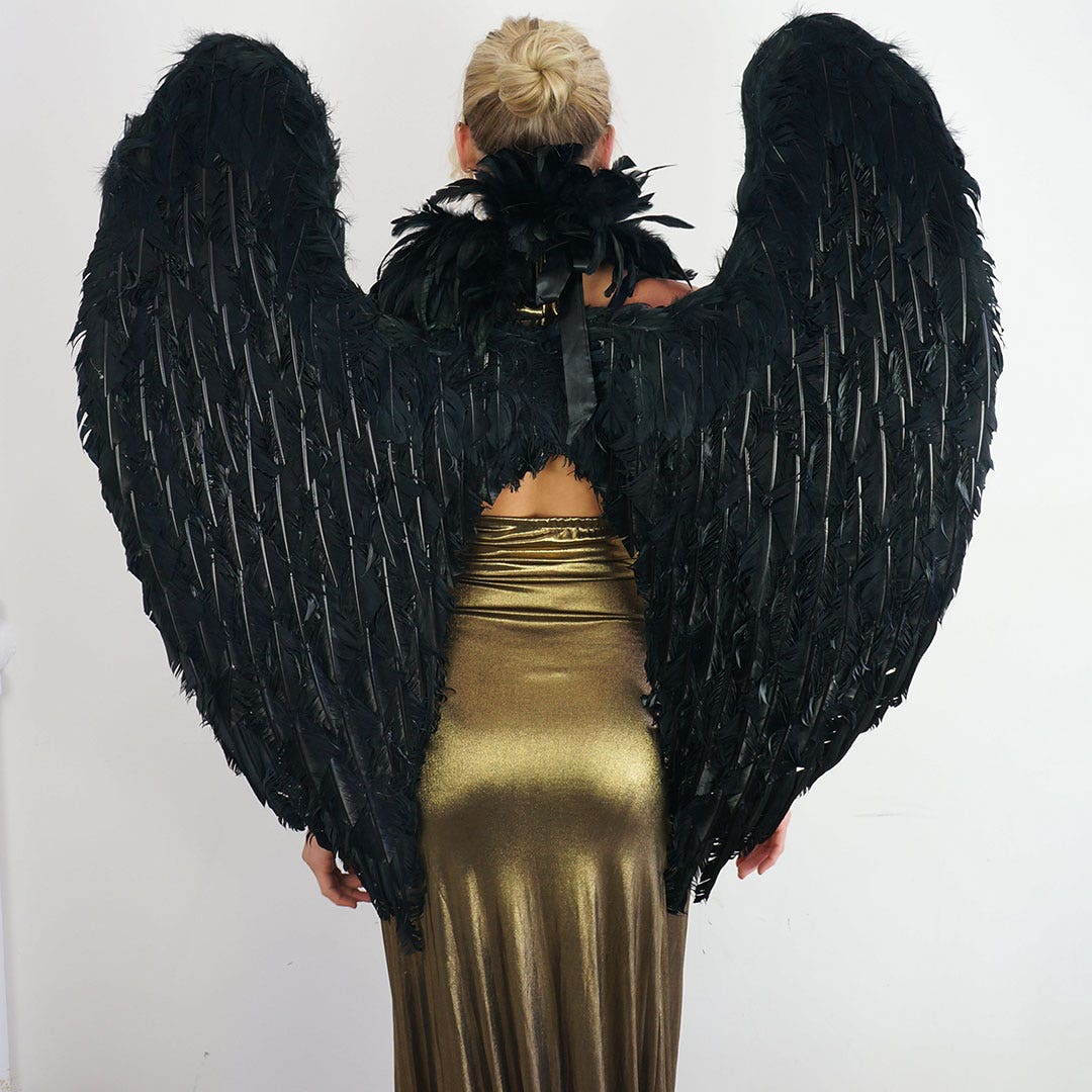 Black Fallen Angel Wings