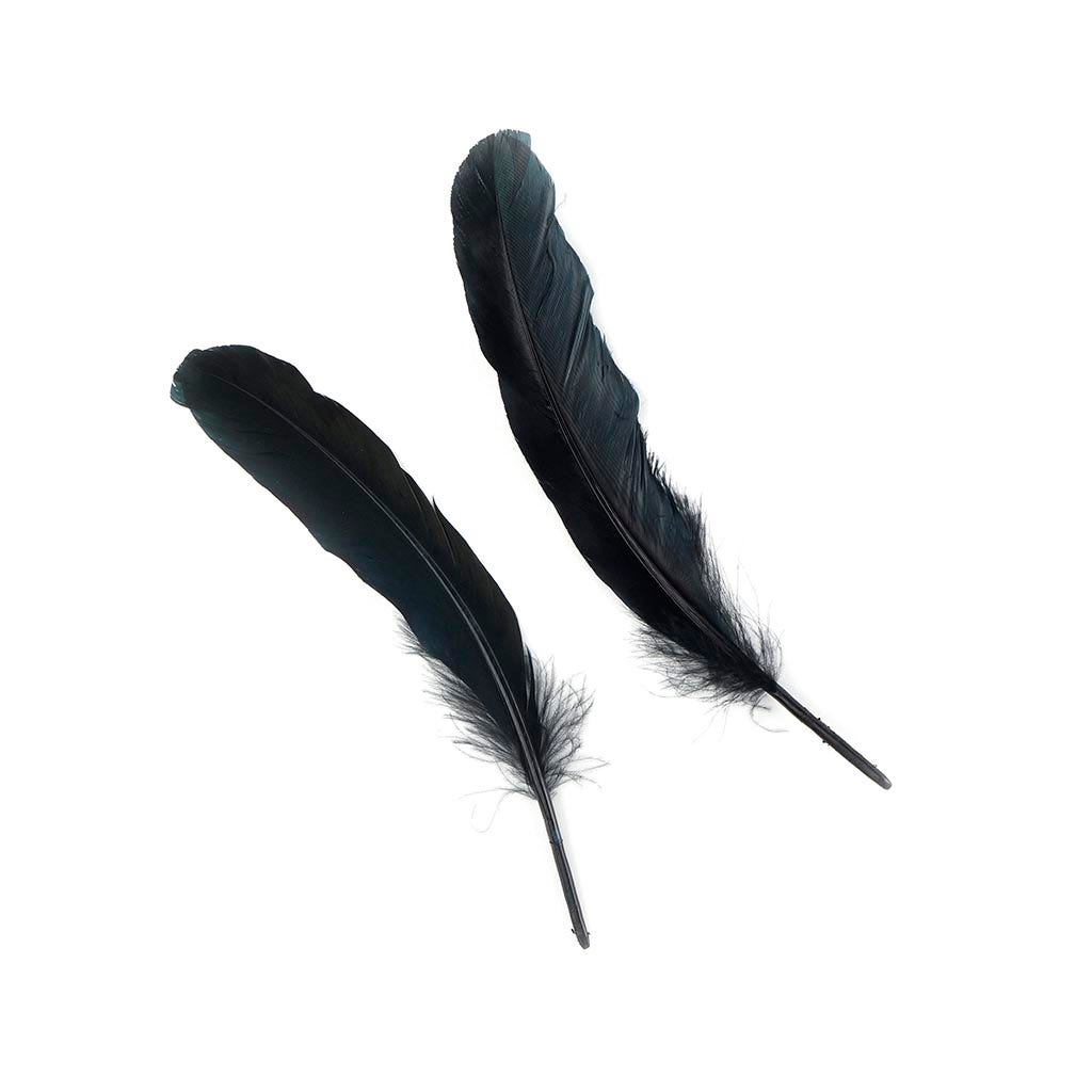 Goose Favion Feathers - Black - Iridescent