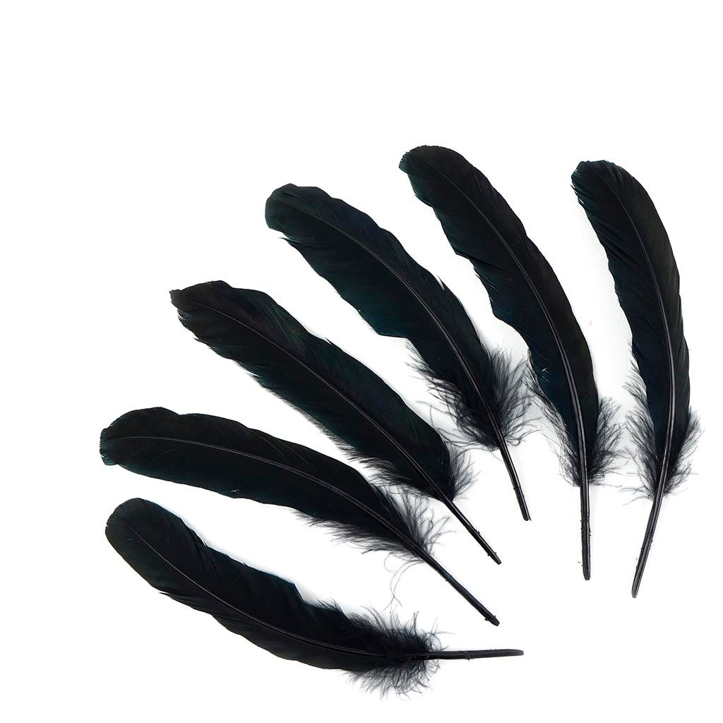 Goose Favion Feathers - Black - Iridescent