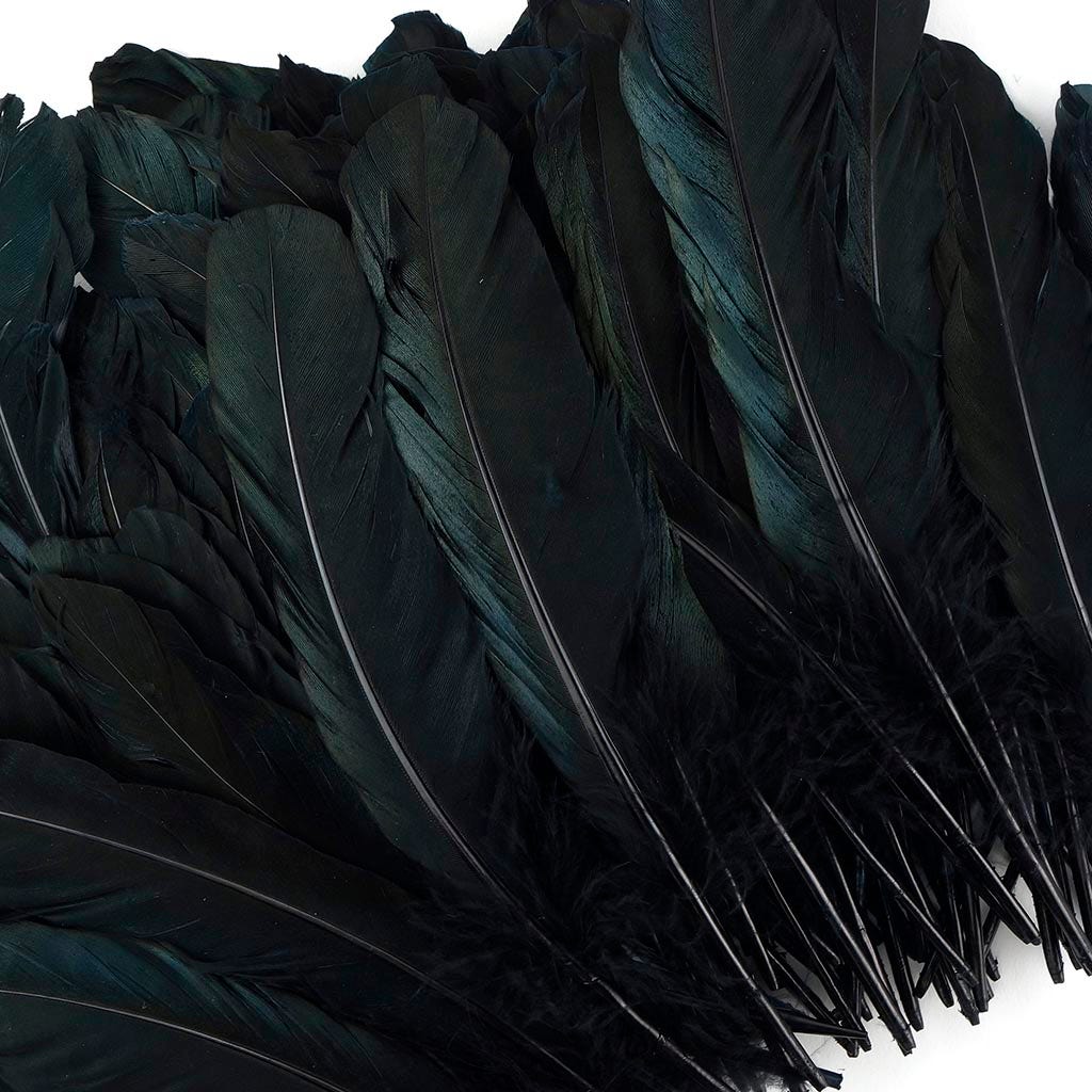 Goose Favion Feathers - Black - Iridescent