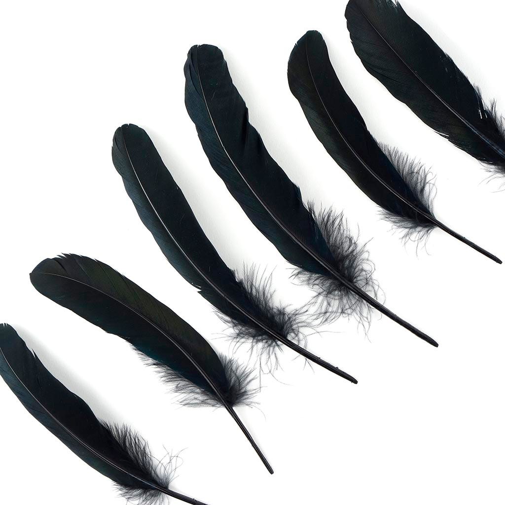 Loose Goose Favions Dyed Black Iridescent
