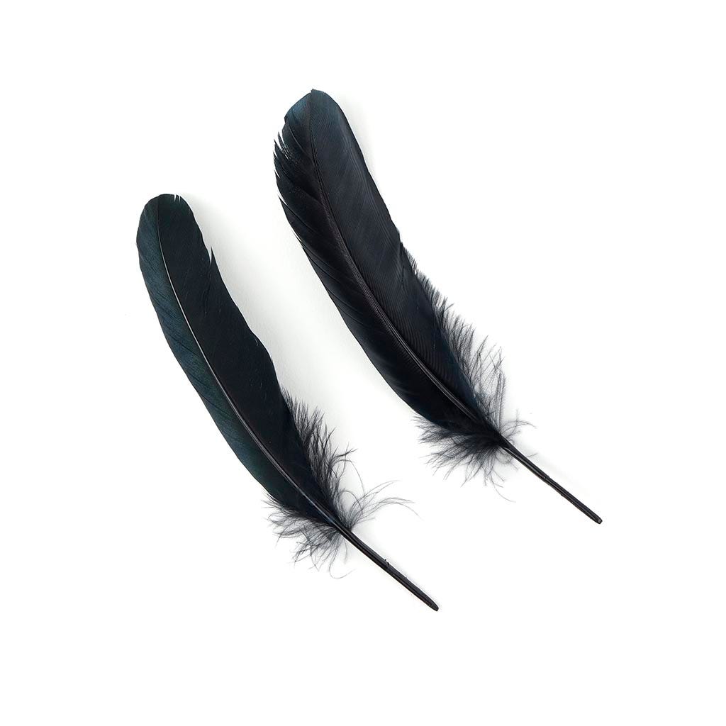 Loose Goose Favions Dyed Black Iridescent