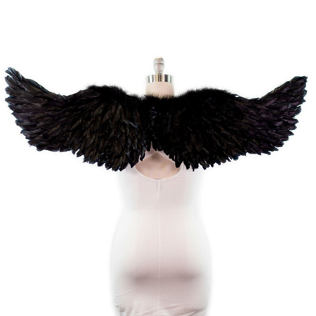Black Swan Wings