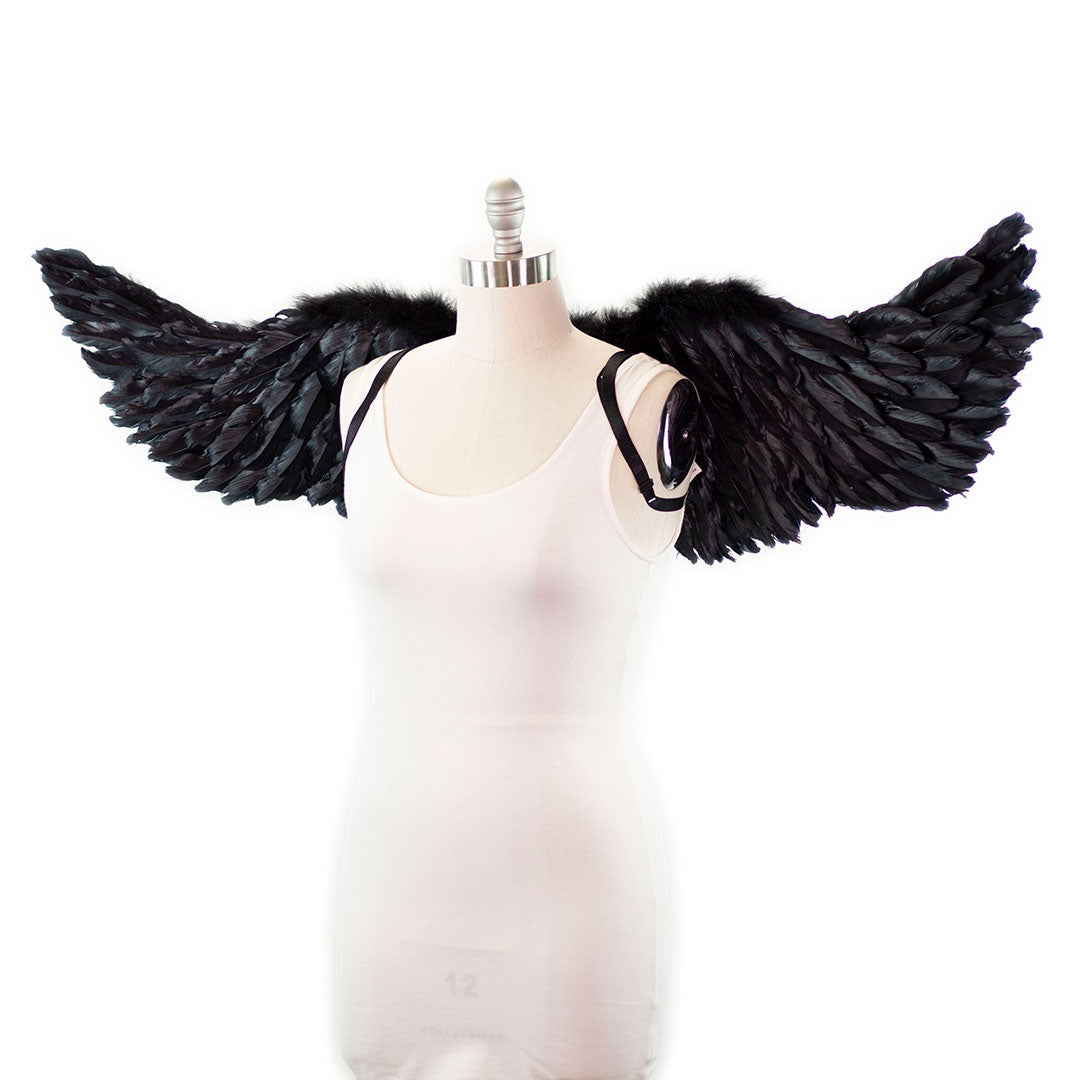 Black Swan Wings