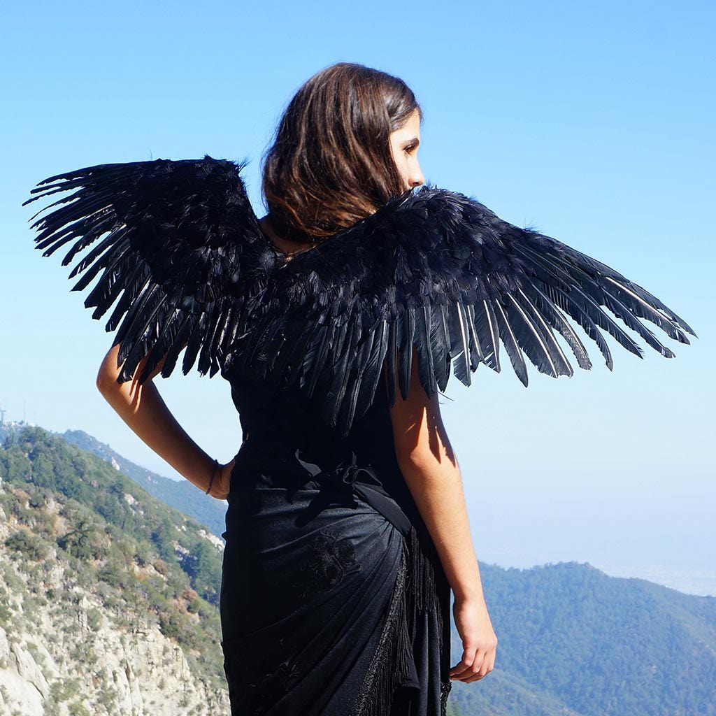 Adult Mockingbird Large Wings Costume - Black Angel Fairy Cosplay Halloween Crow Feather Wing